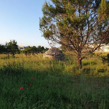Istra Divšići